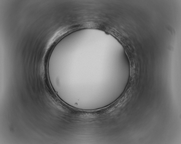 X0000113170198200909181839