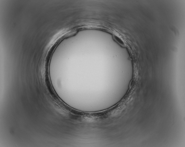 X0000113170199200909181839