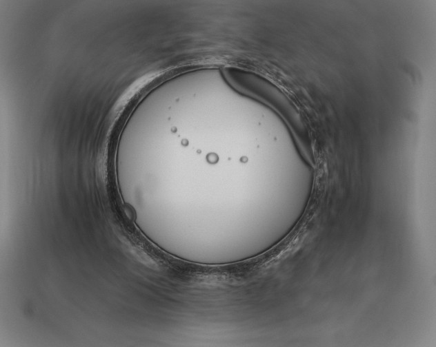 X0000113170200200909181839