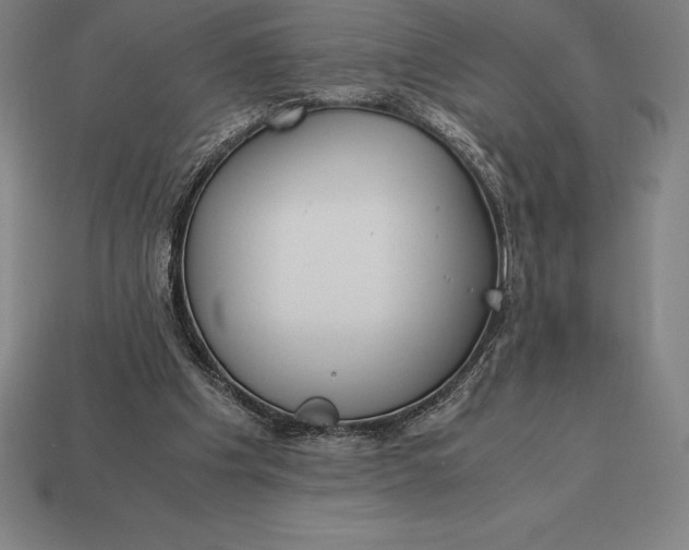 X0000113170201200909181839