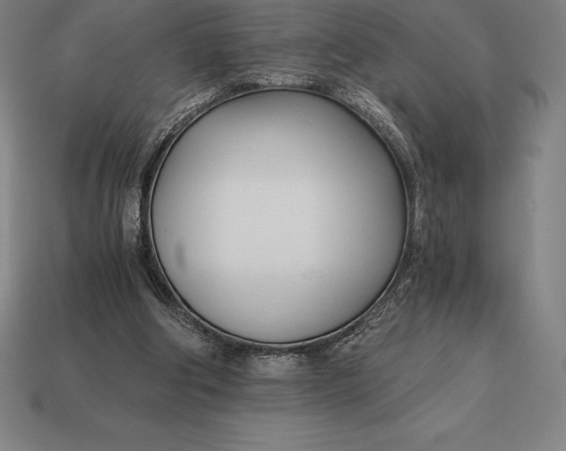 X0000113170202200909181839