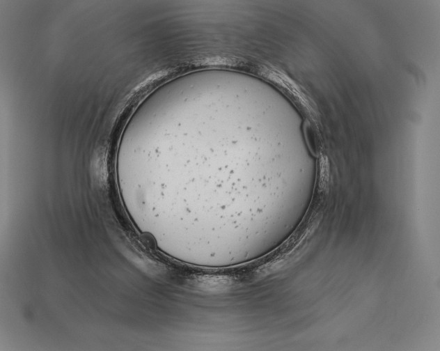 X0000113170203200909181839