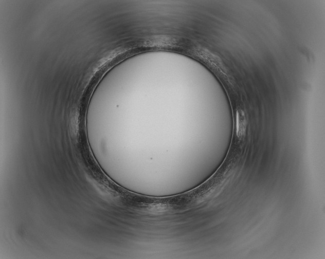 X0000113170204200909181839