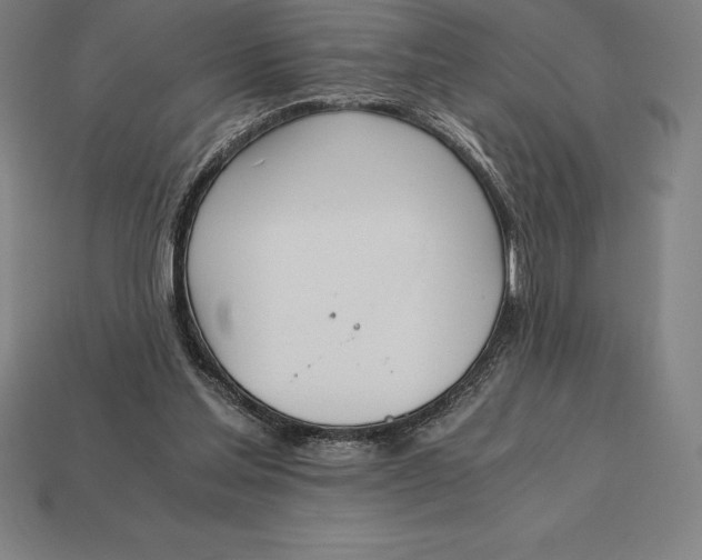 X0000113170205200909181839