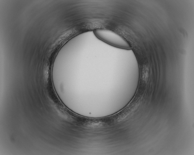 X0000113170206200909181839