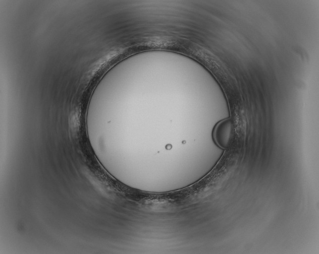 X0000113170208200909181838