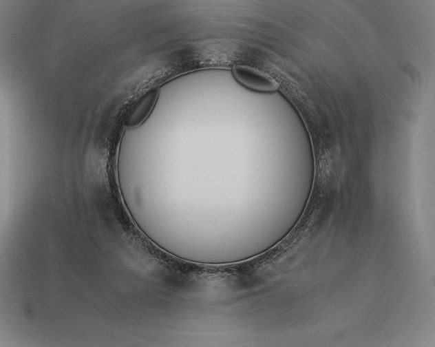 X0000113170209200909181838