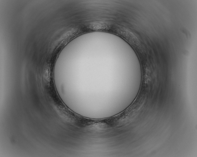 X0000113170210200909181838