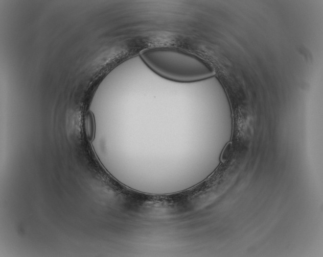 X0000113170211200909181838