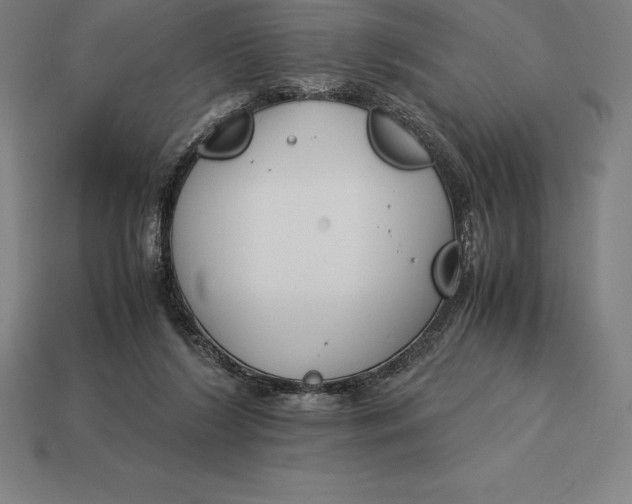 X0000113170212200909181838