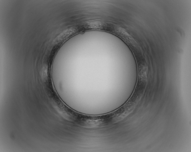 X0000113170213200909181838