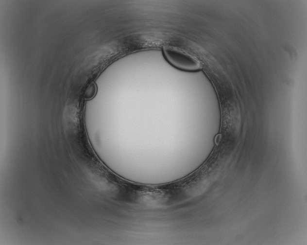 X0000113170215200909181838