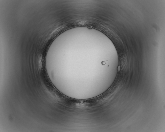 X0000113170216200909181838