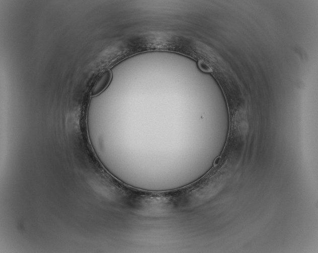 X0000113170217200909181838