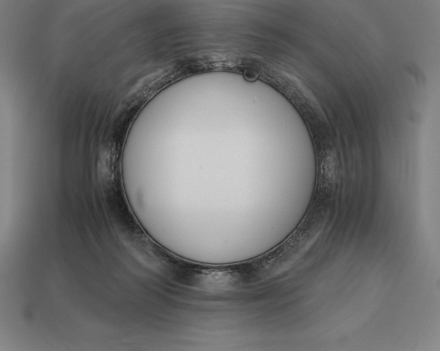 X0000113170218200909181838