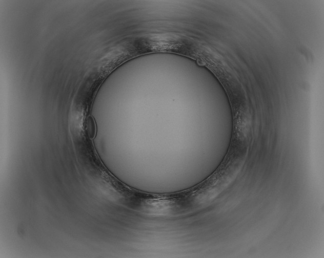 X0000113170219200909181838