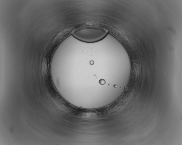 X0000113170220200909181838