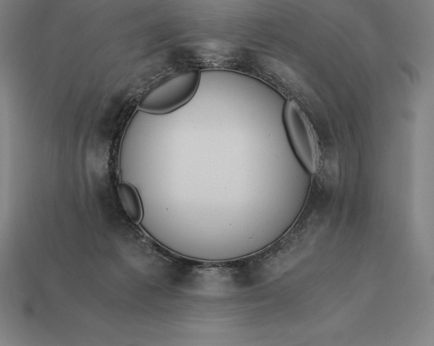 X0000113170221200909181838