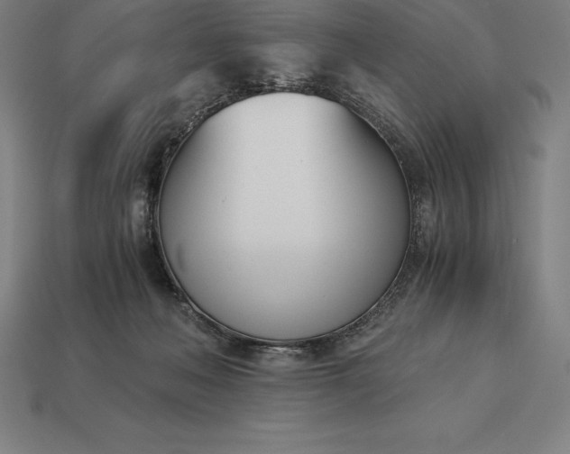 X0000113170222200909181838