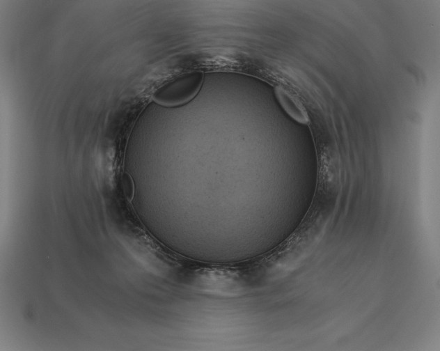 X0000113170223200909181838