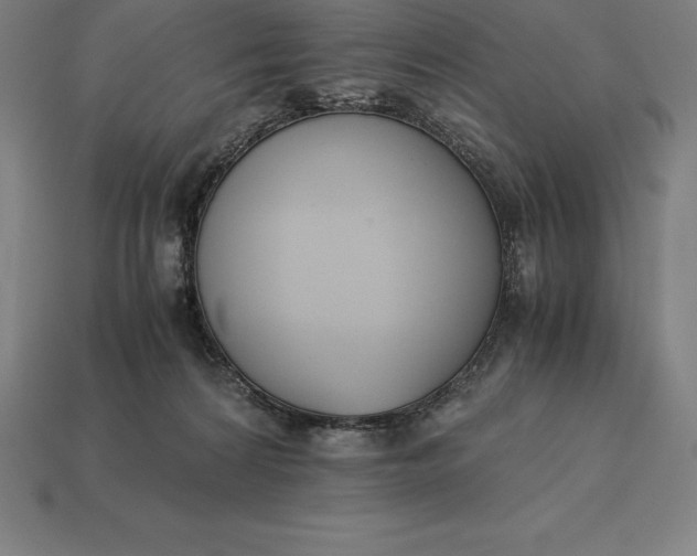 X0000113170224200909181838