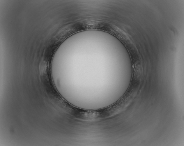 X0000113170225200909181838