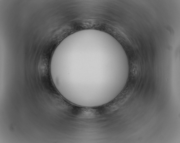 X0000113170226200909181838