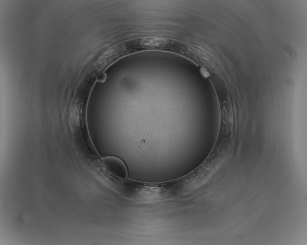 X0000113170227200909181838