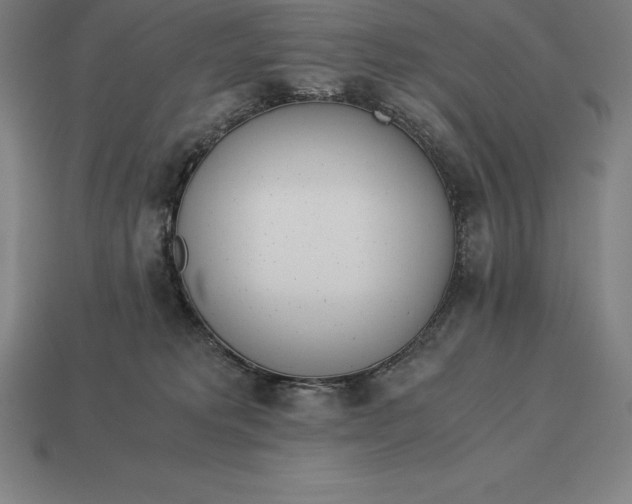 X0000113170229200909181838