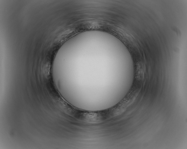 X0000113170230200909181838