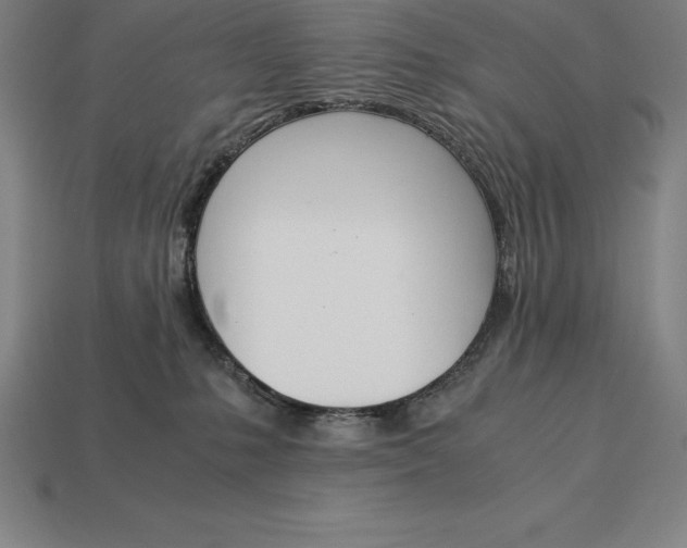 X0000113170231200909181838