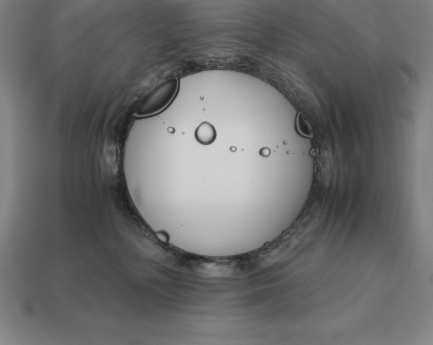 X0000113170232200909181838