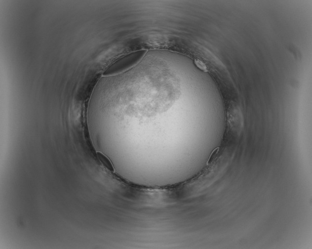 X0000113170233200909181838