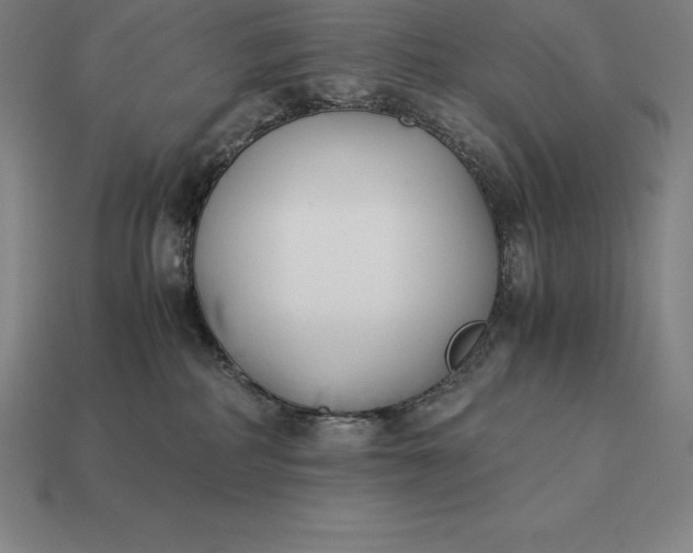 X0000113170234200909181838