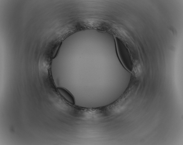 X0000113170235200909181838