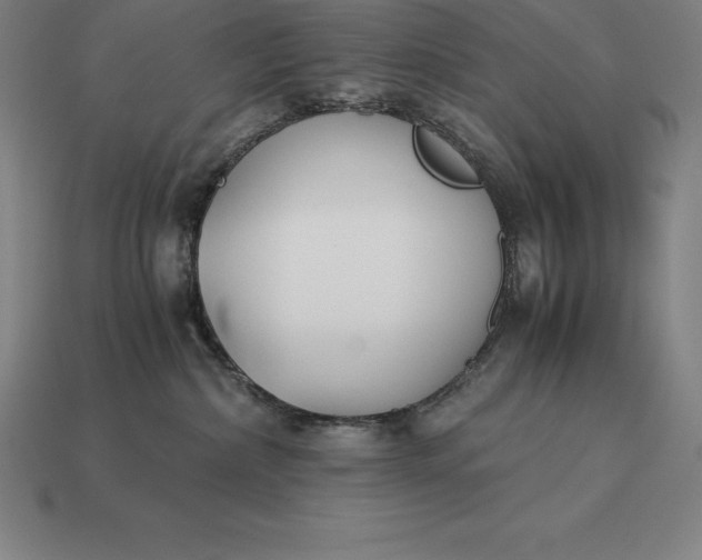 X0000113170236200909181838