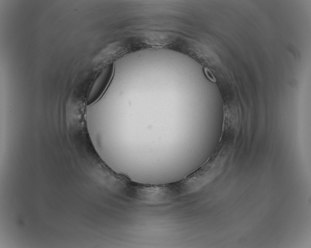 X0000113170237200909181838