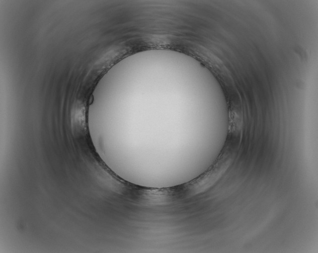 X0000113170238200909181838