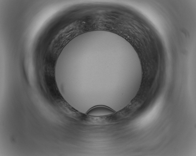 X0000113170239200909181838