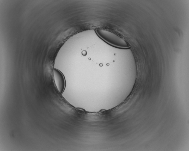 X0000113170240200909181838