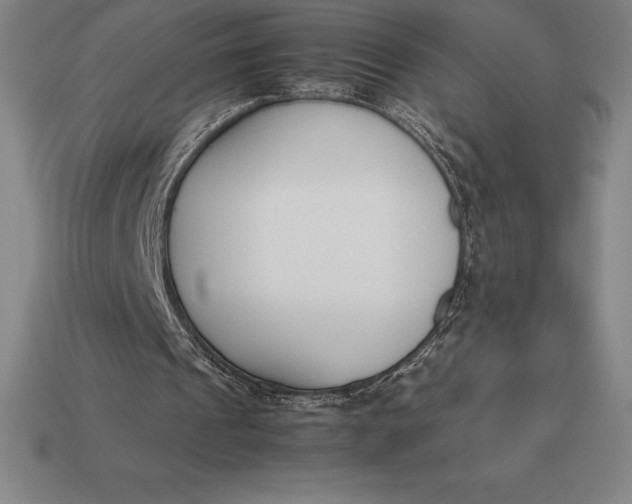 X0000113170241200909181837