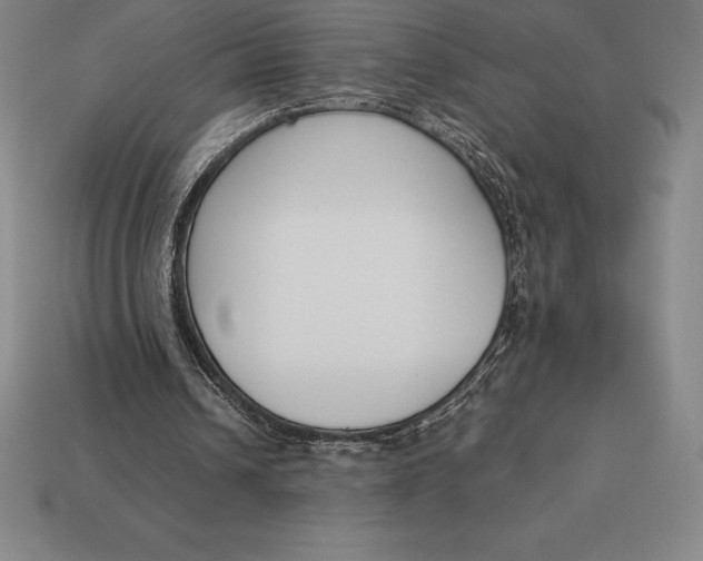 X0000113170242200909181837