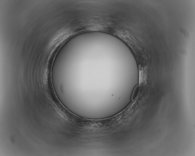 X0000113170243200909181838