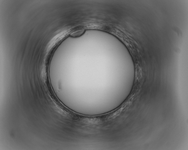 X0000113170245200909181838