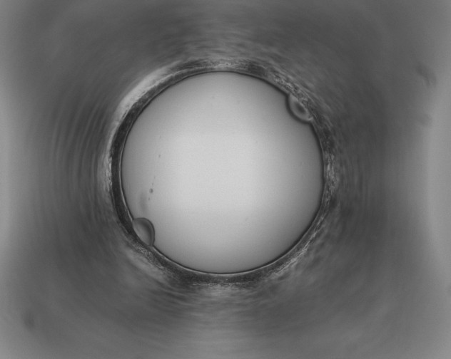 X0000113170246200909181838