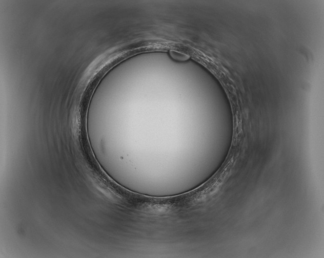 X0000113170247200909181838