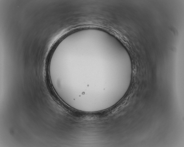 X0000113170248200909181838