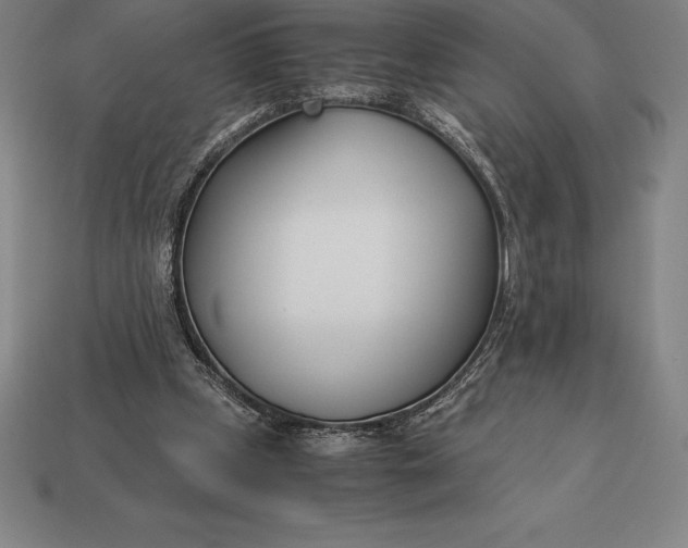 X0000113170249200909181838