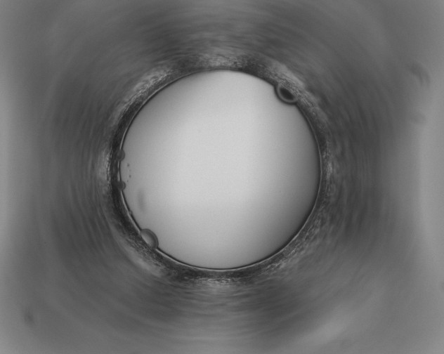 X0000113170250200909181838