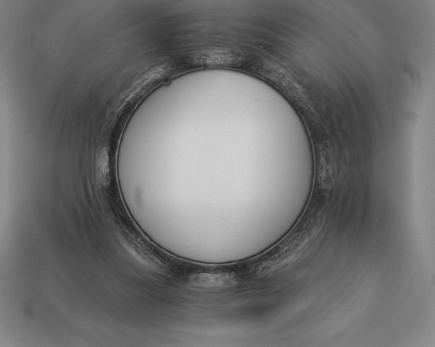 X0000113170251200909181838